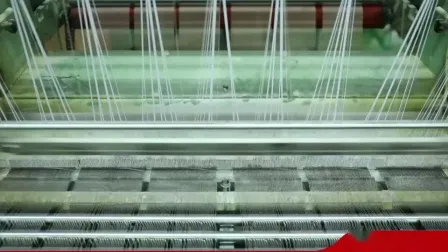 Slip monouso da donna in cotone 100% Intimo da donna discreto per viaggi, hotel, spa, soggiorni ospedalieri